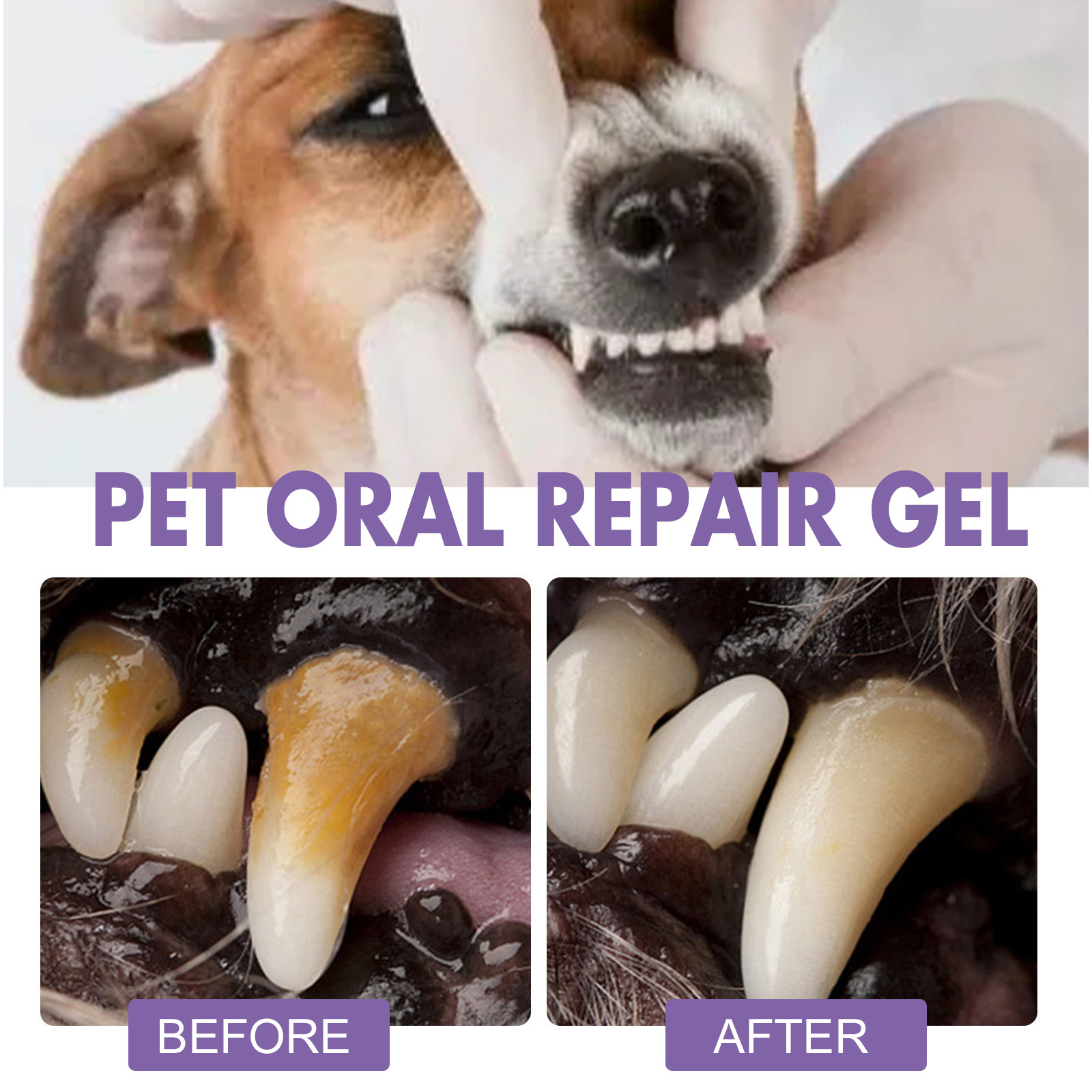 Gel de reparação oral para ani - Teeth Whitening Remedies avaliação e preço